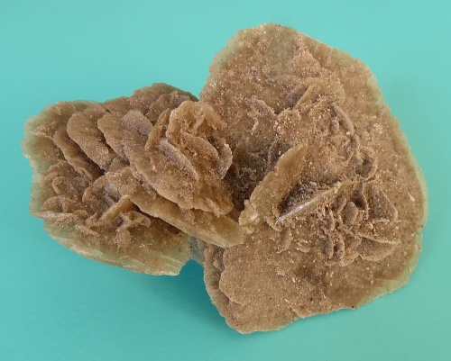 Sand Rose (Gypsum)