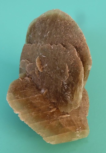 Sand Rose (Gypsum)