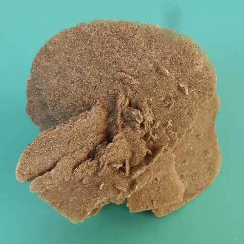 Sand Rose (Gypsum)