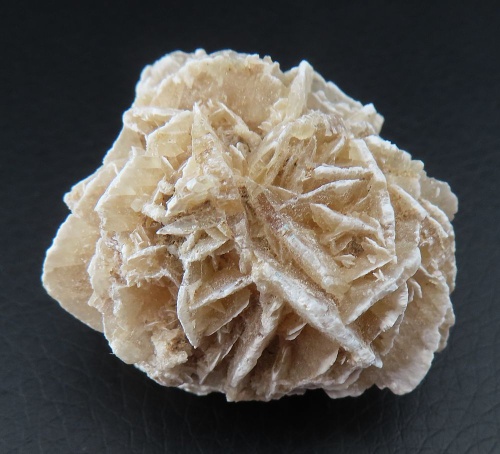 Desert rose (gypsum)
