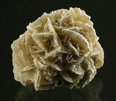 Desert rose (gypsum)