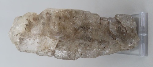 Selenit