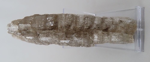 Selenite