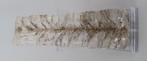 Selenite