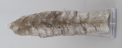 Sádrovec