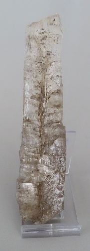 Selenit
