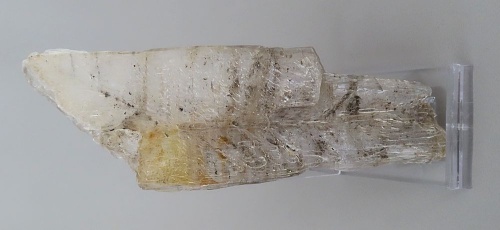 Sádrovec