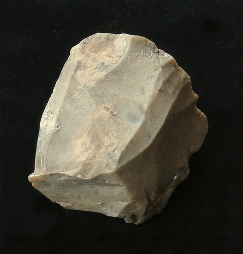 Lithic core with crinoid (cast)