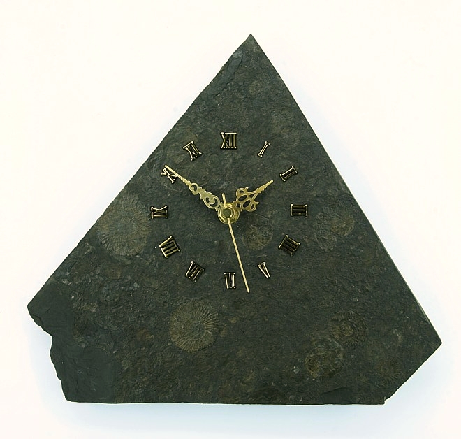 Clock dactilioceras shale Holzmaden