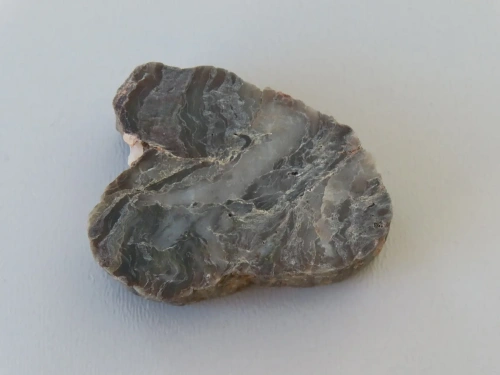 Petrified Wood
