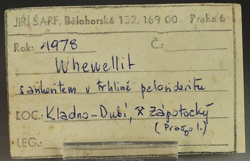 Whewellit